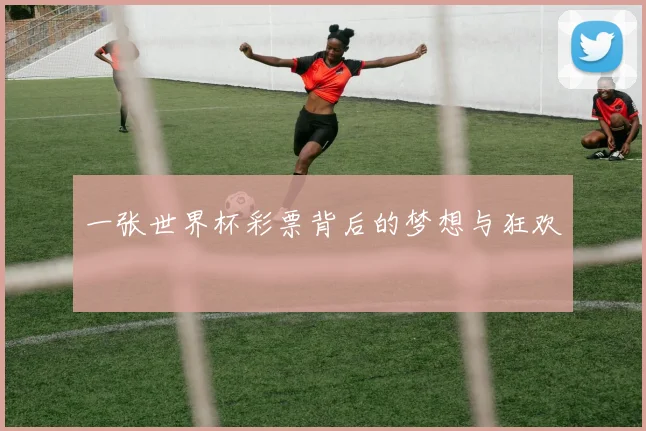 一张世界杯彩票背后的梦想与狂欢