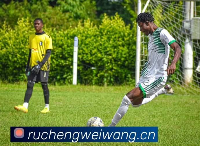 App Interface Preview